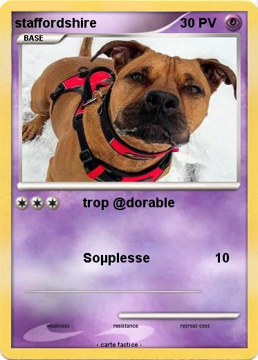 Pokemon staffordshire