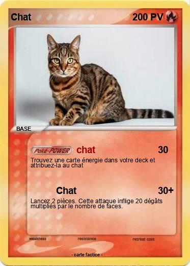 Pokemon Chat