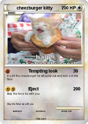 Pokemon cheezburger kitty