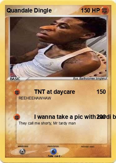 Pokemon Quandale Dingle