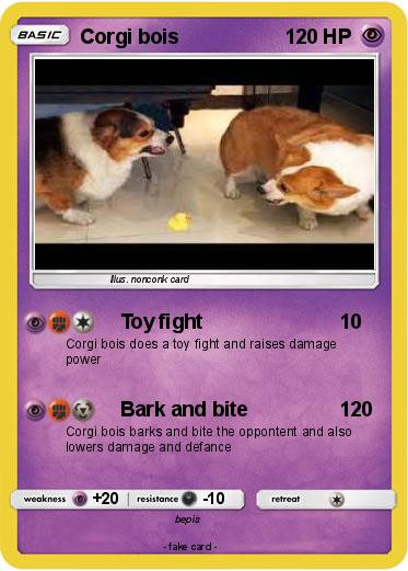 Pokemon Corgi bois