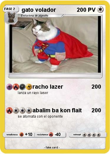 Pokemon gato volador