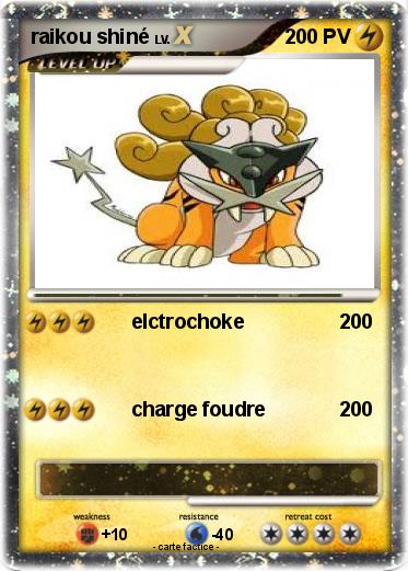 Pokemon raikou shiné