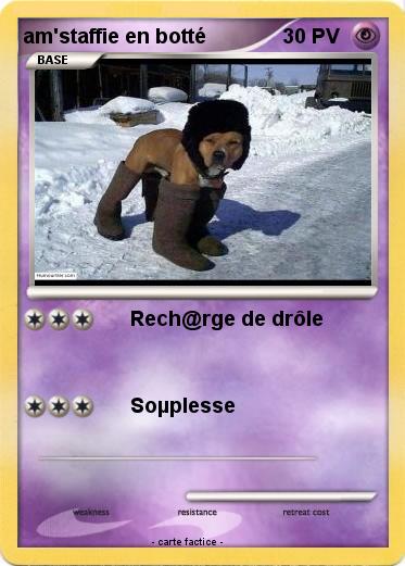 Pokemon am'staffie en botté