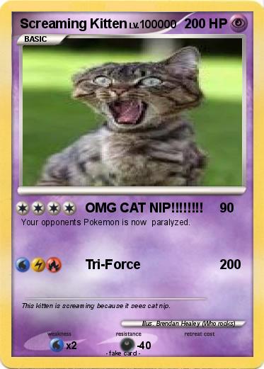 Pokemon Screaming Kitten