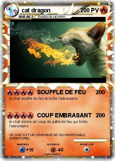 Pokemon cat dragon