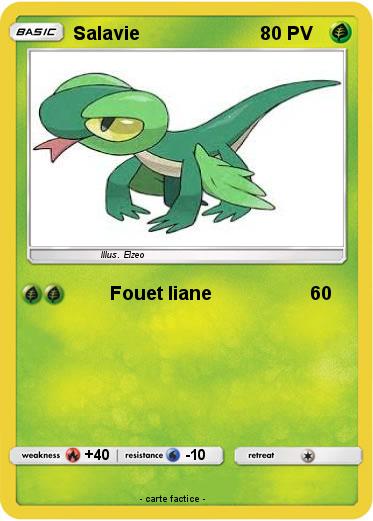 Pokemon Salavie