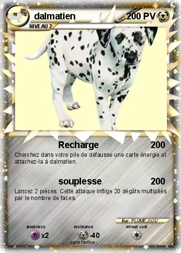 Pokemon dalmatien