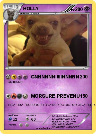 Pokemon HOLLY
