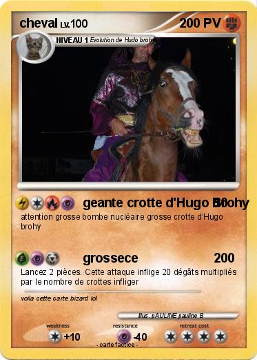 Pokemon cheval