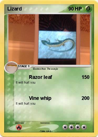 Pokemon Lizard