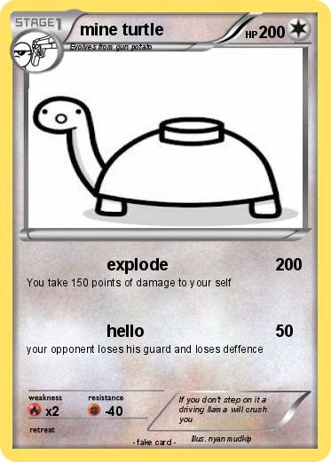 Pokemon mine turtle