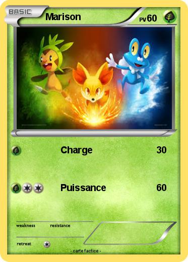 Pokemon Marison