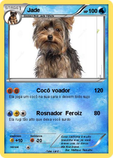 Pokemon Jade