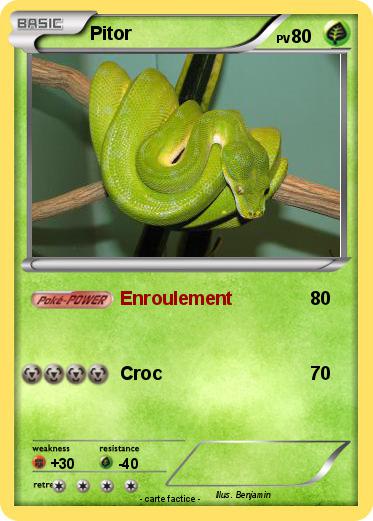 Pokemon Pitor