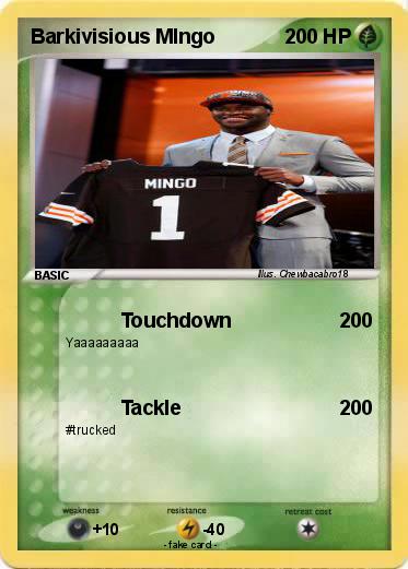 Pokemon Barkivisious MIngo