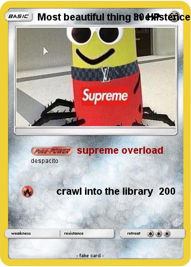 Pokemon Most beautiful thing in existence.