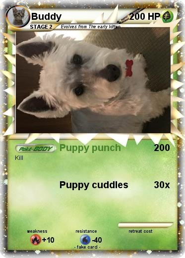 Pokemon Buddy