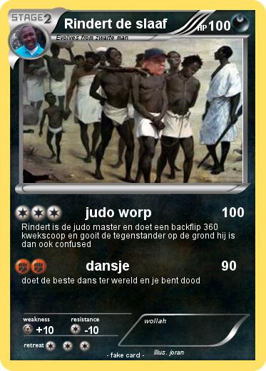Pokemon Rindert de slaaf