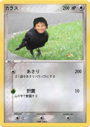 Pokemon カラス