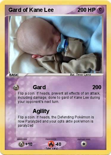 Pokemon Gard of Kane Lee