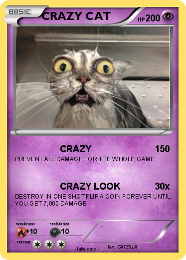 Pokemon CRAZY CAT