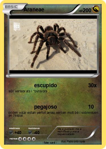 Pokemon Araneae
