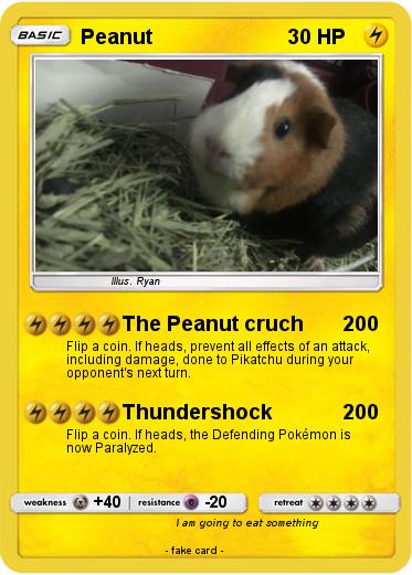 Pokemon Peanut