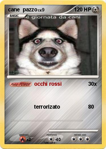 Pokemon cane  pazzo