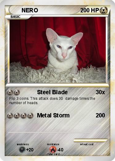 Pokemon NERO