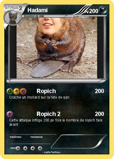 Pokemon Hadami