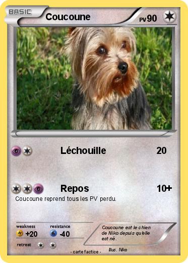 Pokemon Coucoune
