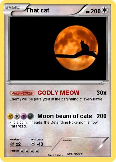 Pokemon That cat