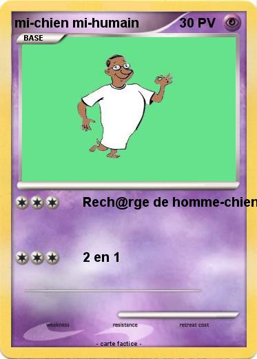 Pokemon mi-chien mi-humain