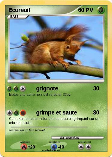 Pokemon Ecureuil