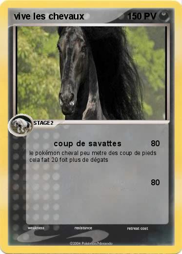 Pokemon vive les chevaux