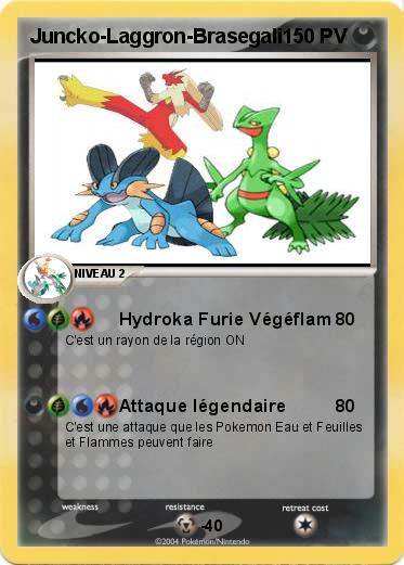 Pokemon Juncko-Laggron-Brasegali