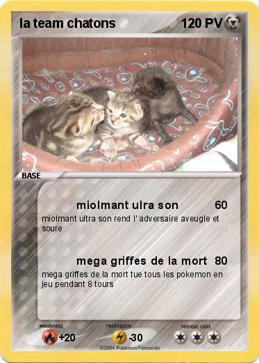 Pokemon la team chatons