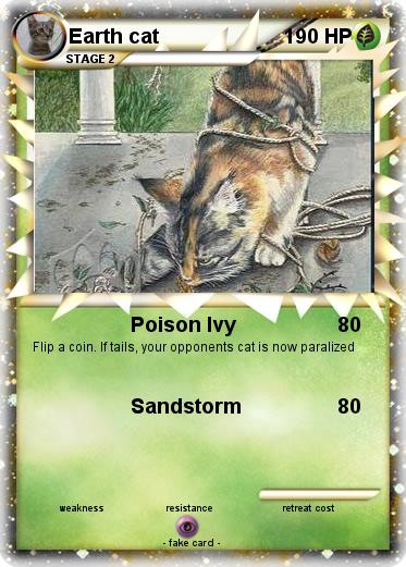 Pokemon Earth cat