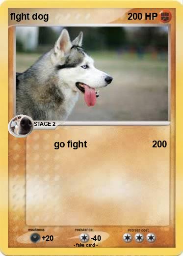Pokemon fight dog