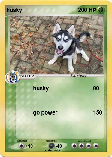 Pokemon husky