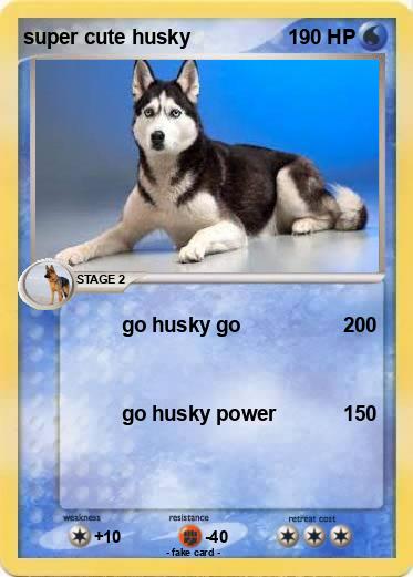 Pokemon super cute husky