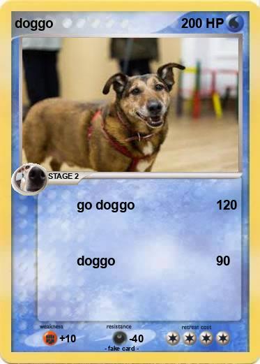 Pokemon doggo