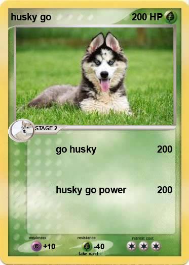 Pokemon husky go