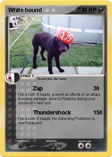 Pokemon White hound