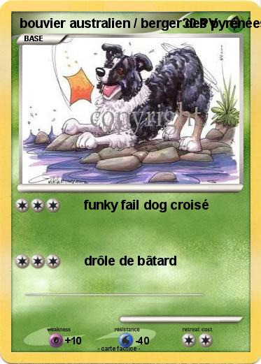Pokemon bouvier australien / berger des pyrénées trollolo