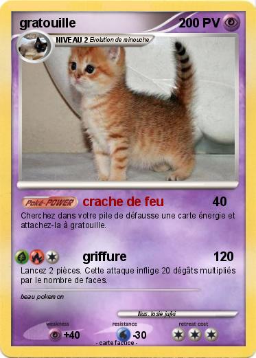 Pokemon gratouille