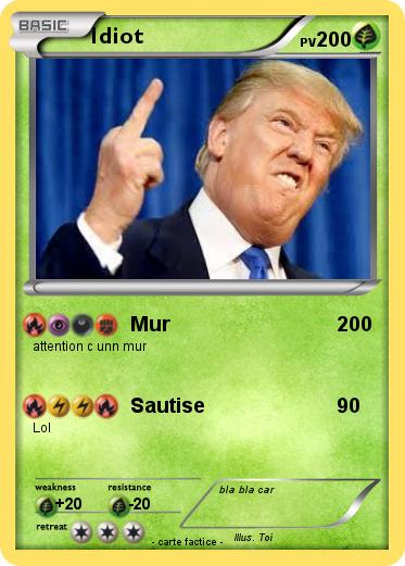 Pokemon Idiot