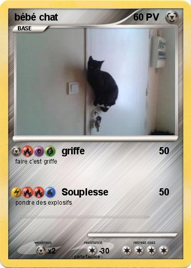 Pokemon bébé chat