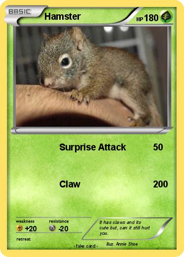 Pokemon Hamster